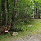 Review photo of White Mountain National Forest Wildwood Campground by Jean C., July 31, 2019