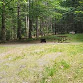 Review photo of White Mountain National Forest Wildwood Campground by Jean C., July 31, 2019