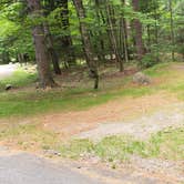 Review photo of White Mountain National Forest Wildwood Campground by Jean C., July 31, 2019