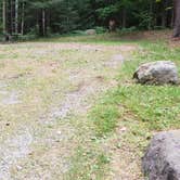 Review photo of White Mountain National Forest Wildwood Campground by Jean C., July 31, 2019