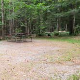 Review photo of White Mountain National Forest Wildwood Campground by Jean C., July 31, 2019