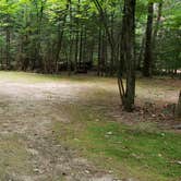 Review photo of White Mountain National Forest Wildwood Campground by Jean C., July 31, 2019