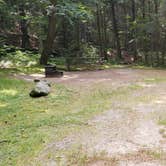 Review photo of White Mountain National Forest Wildwood Campground by Jean C., July 31, 2019