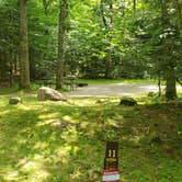 Review photo of White Mountain National Forest Wildwood Campground by Jean C., July 31, 2019