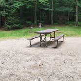 Review photo of White Mountain National Forest Wildwood Campground by Jean C., July 31, 2019