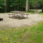 Review photo of White Mountain National Forest Wildwood Campground by Jean C., July 31, 2019