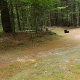 Review photo of White Mountain National Forest Wildwood Campground by Jean C., July 31, 2019