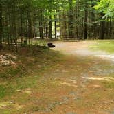 Review photo of White Mountain National Forest Wildwood Campground by Jean C., July 31, 2019