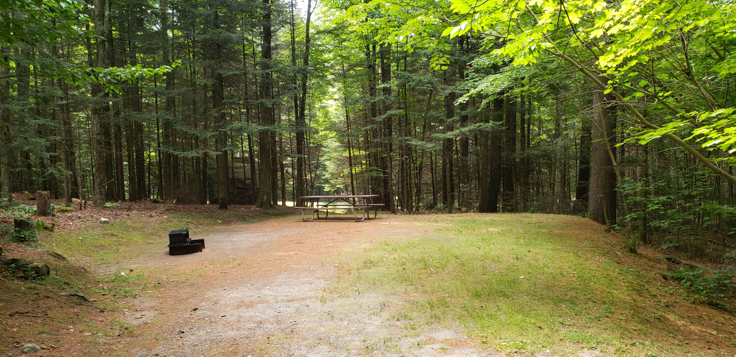 Camper-submitted photo at White Mountain National Forest Wildwood Campground near North Woodstock, NH