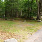 Review photo of White Mountain National Forest Wildwood Campground by Jean C., July 31, 2019