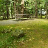 Review photo of White Mountain National Forest Wildwood Campground by Jean C., July 31, 2019