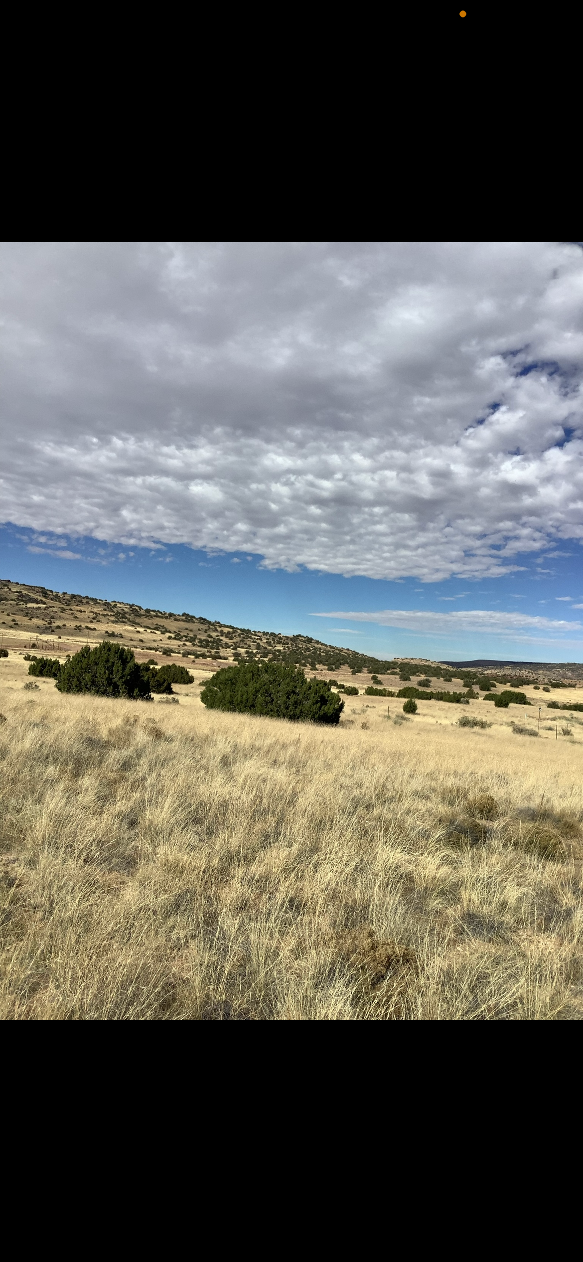 Camper-submitted photo at Marcella Carreon near St. Johns, AZ