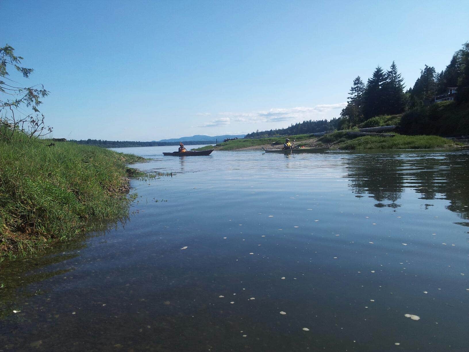 Camper submitted image from Hope Island Marine State Park Campground - 5