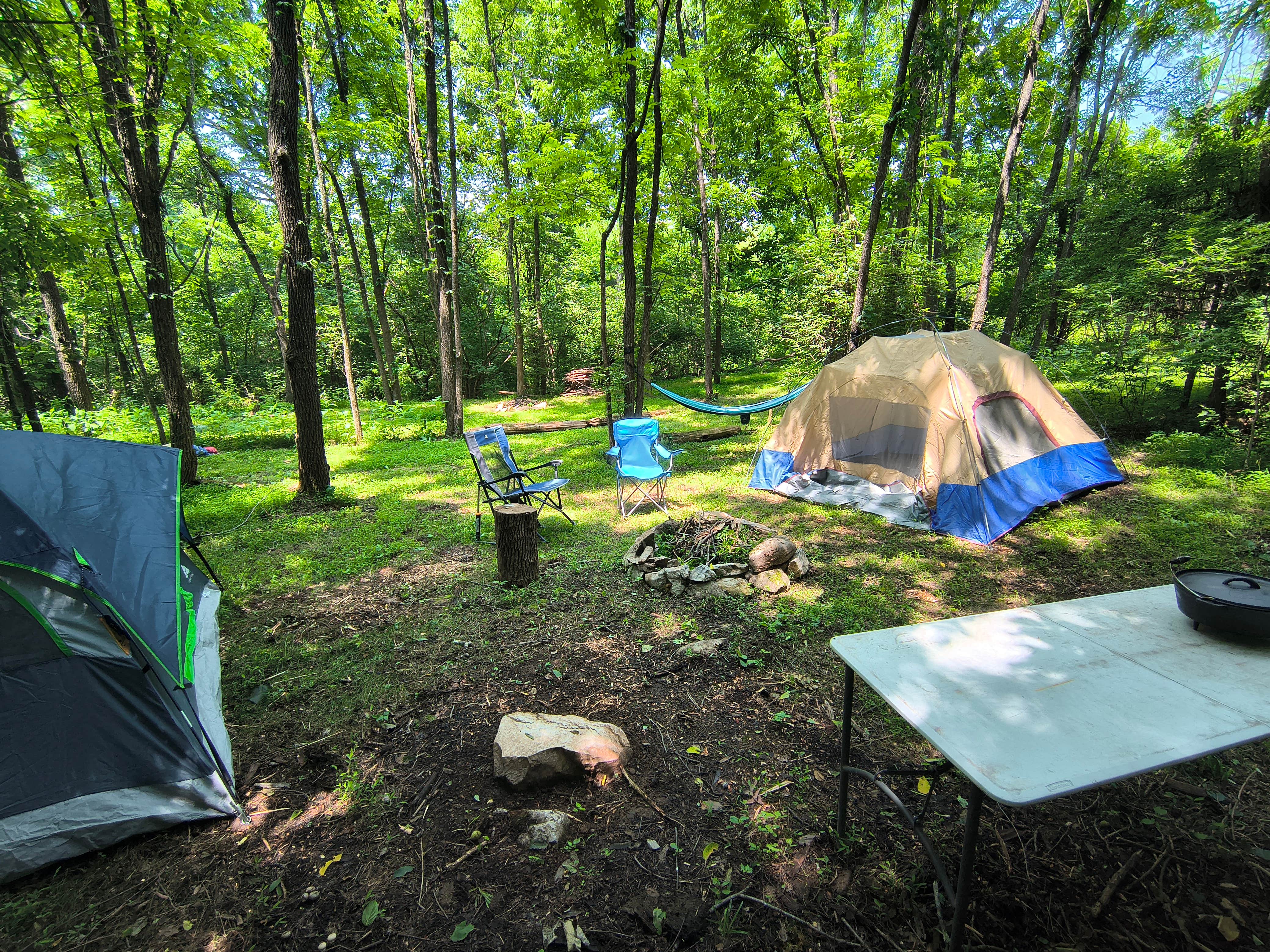 Camper submitted image from Sunny Hills Farm & Camp - 1