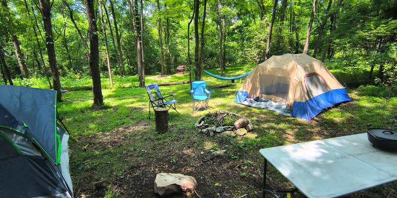 Camper submitted image from Sunny Hills Farm & Camp