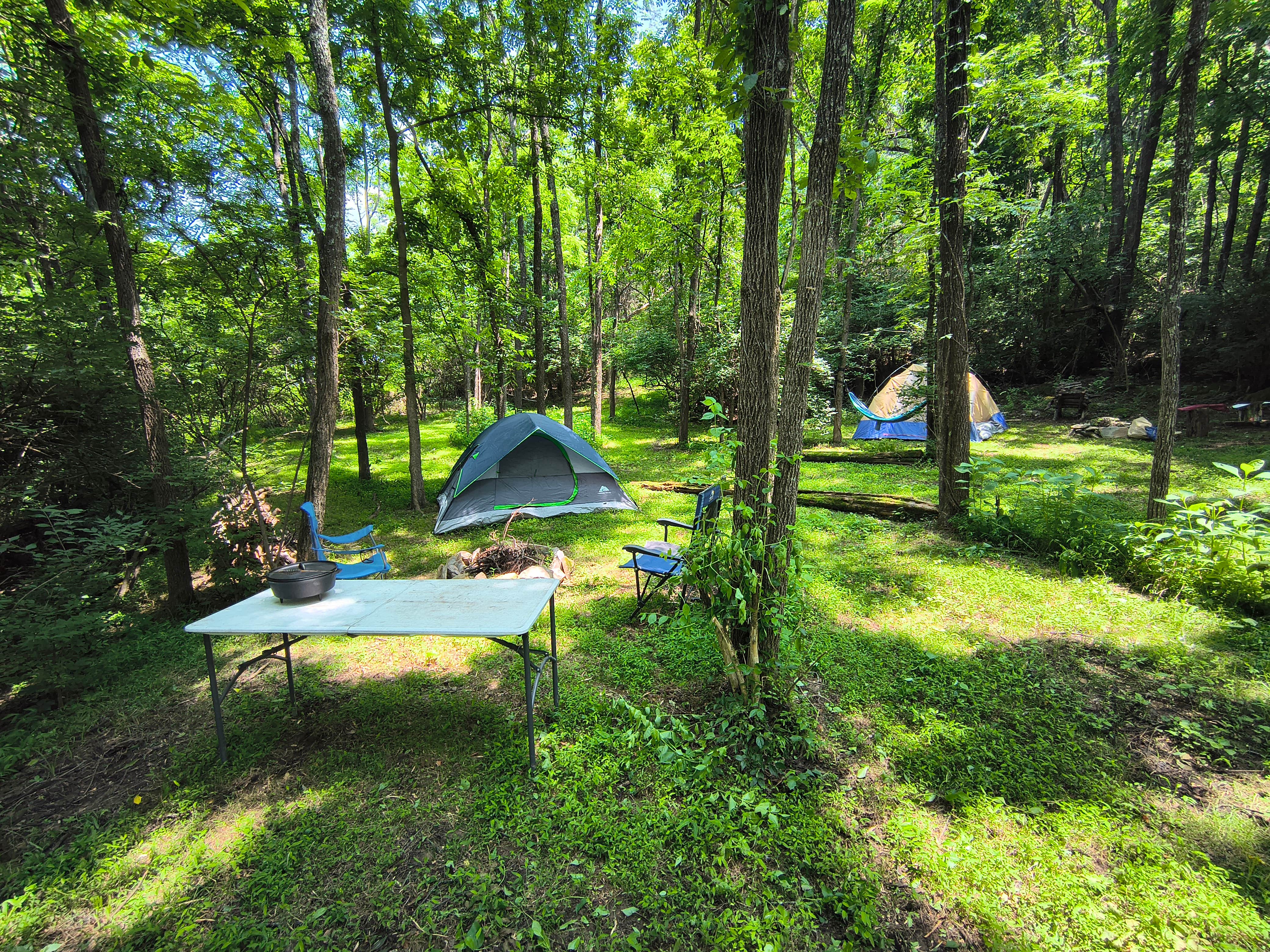 Camper-submitted photo at Sunny Hills Farm & Camp near Ducktown, TN