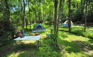 Greg B.'s photo at Sunny Hills Farm & Camp near Greeneville, TN