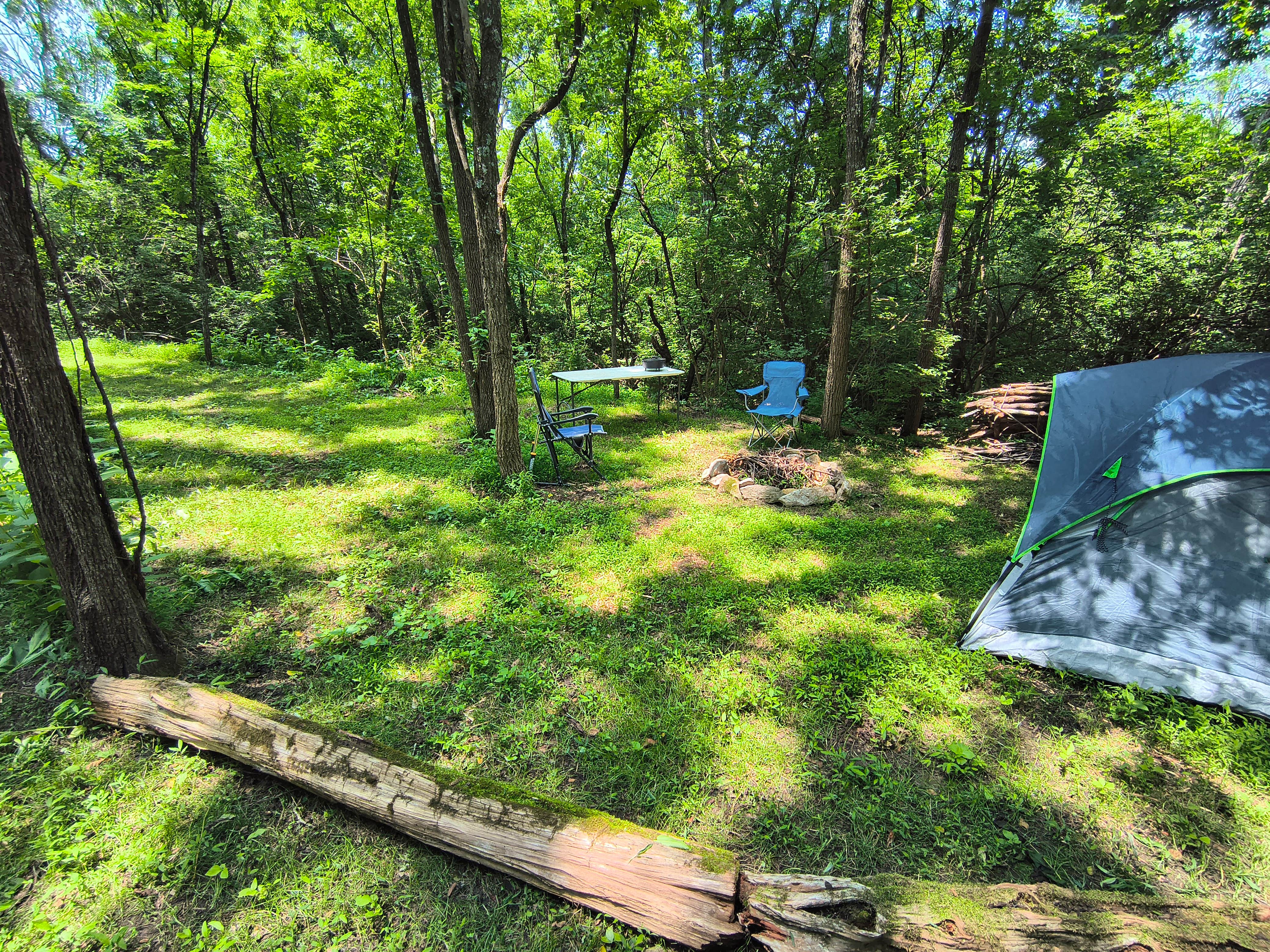 Camper-submitted photo at Sunny Hills Farm & Camp near Ducktown, TN