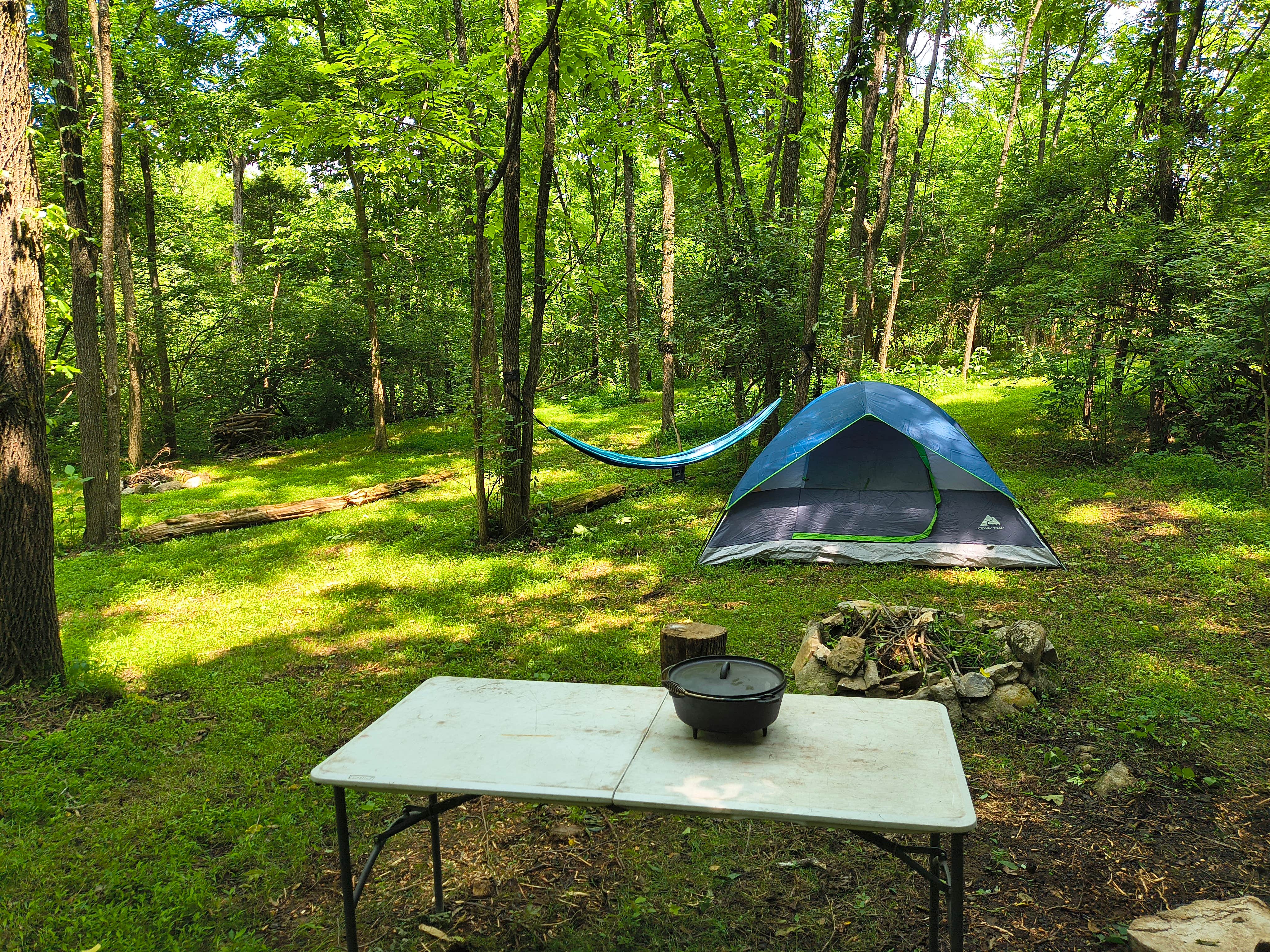 Camper-submitted photo at Sunny Hills Farm & Camp near Ducktown, TN