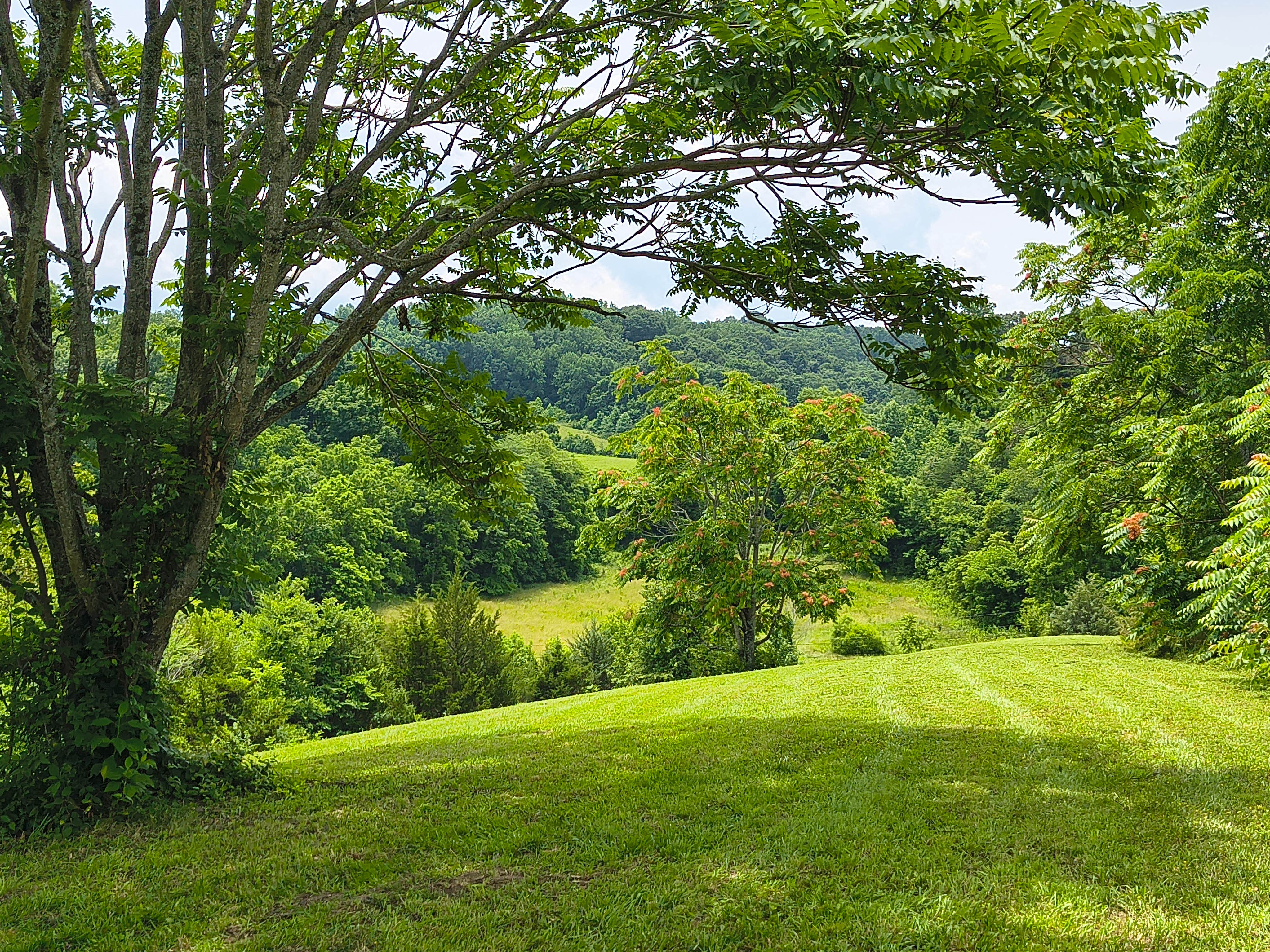 Camper-submitted photo at Sunny Hills Farm & Camp near Ducktown, TN
