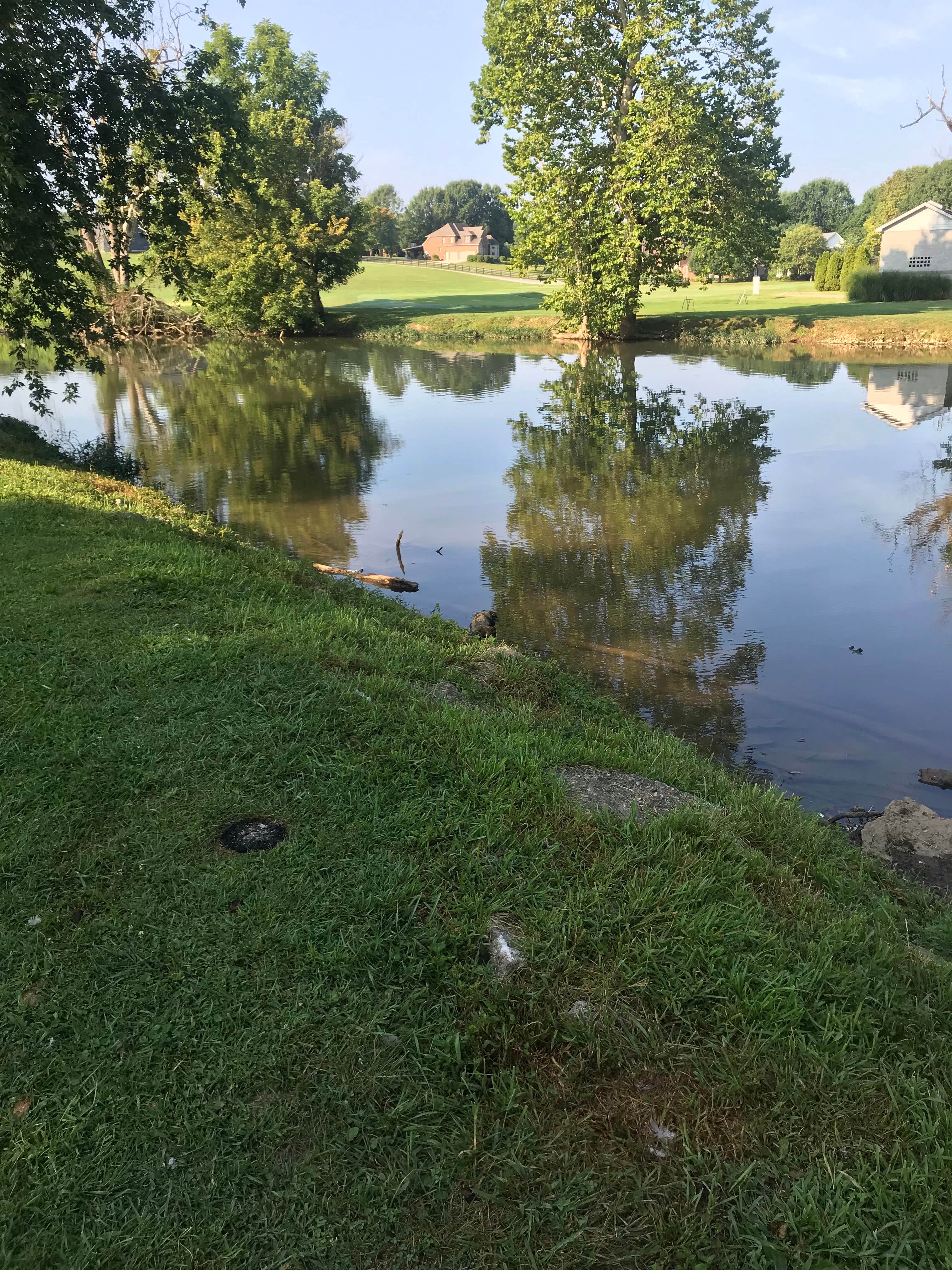 Camper-submitted photo at Elkhorn Campground near Lexington, KY