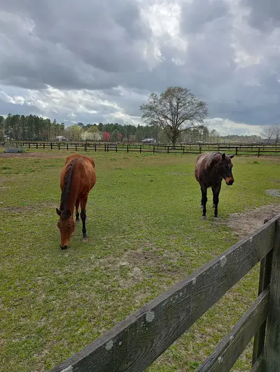 Camper-submitted photo at Lazy Acres Camp near Fitzgerald, GA