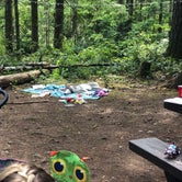 Review photo of Mount Hood National Forest Lockaby Campground - TEMP CLOSED DUE TO FIRE DAMAGE by Jessica F., July 31, 2019