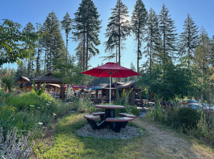 Camper-submitted photo at Zen Garden Sanctuary Spa near East Springfield, OR