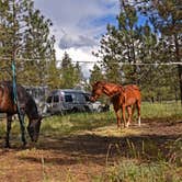 Review photo of Riverside State Park Equestrian Campground — Riverside State Park by Gary M., July 31, 2019