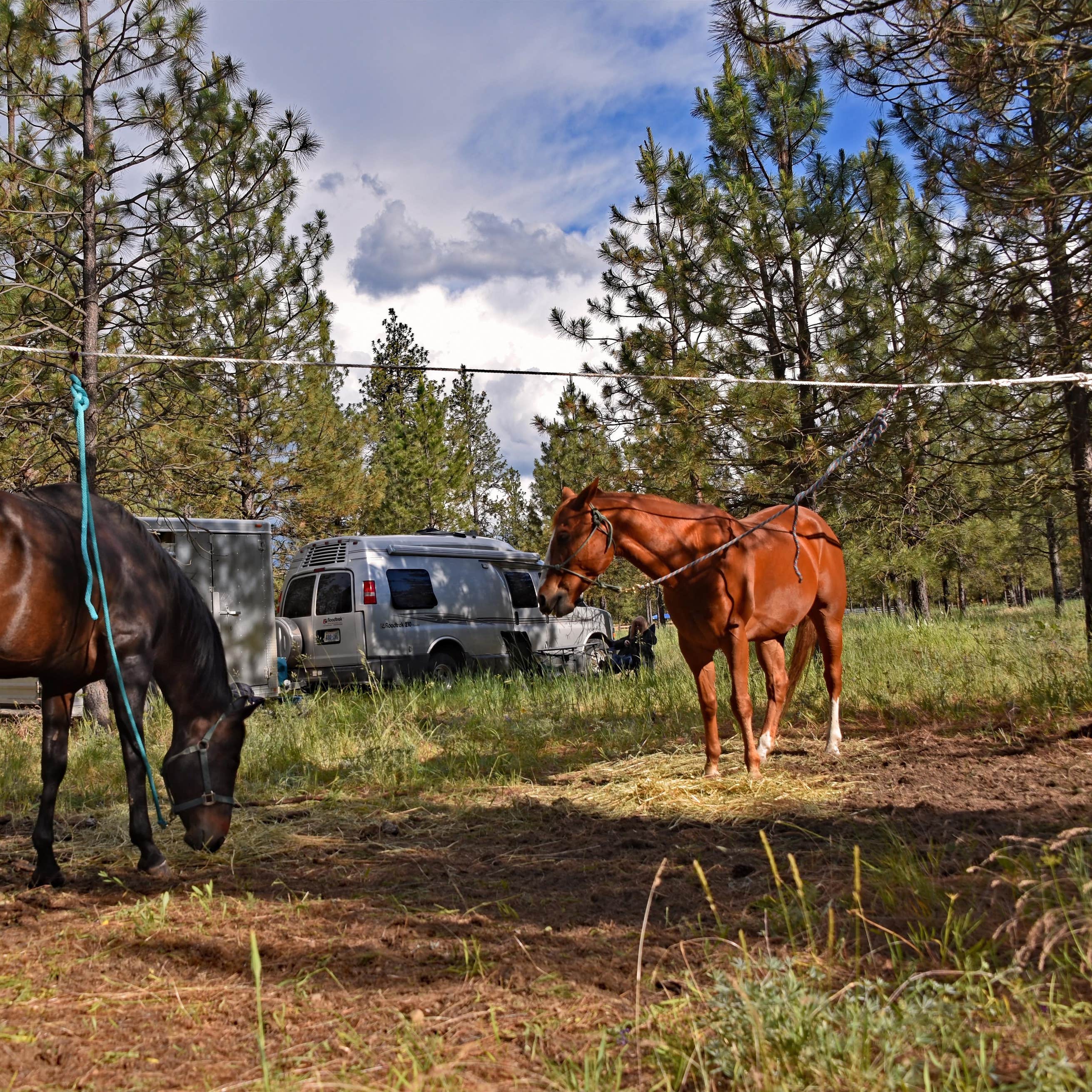Riverside State Park Equestrian Campground Camping The Dyrt