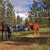 Review photo of Riverside State Park Equestrian Campground — Riverside State Park by Gary M., July 31, 2019