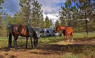 Gary M.'s photo of camping with a horse at Riverside State Park Equestrian Campground — Riverside State Park near Harrison, ID