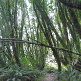 Review photo of Gualala Point Regional Park by Scott S., July 31, 2019