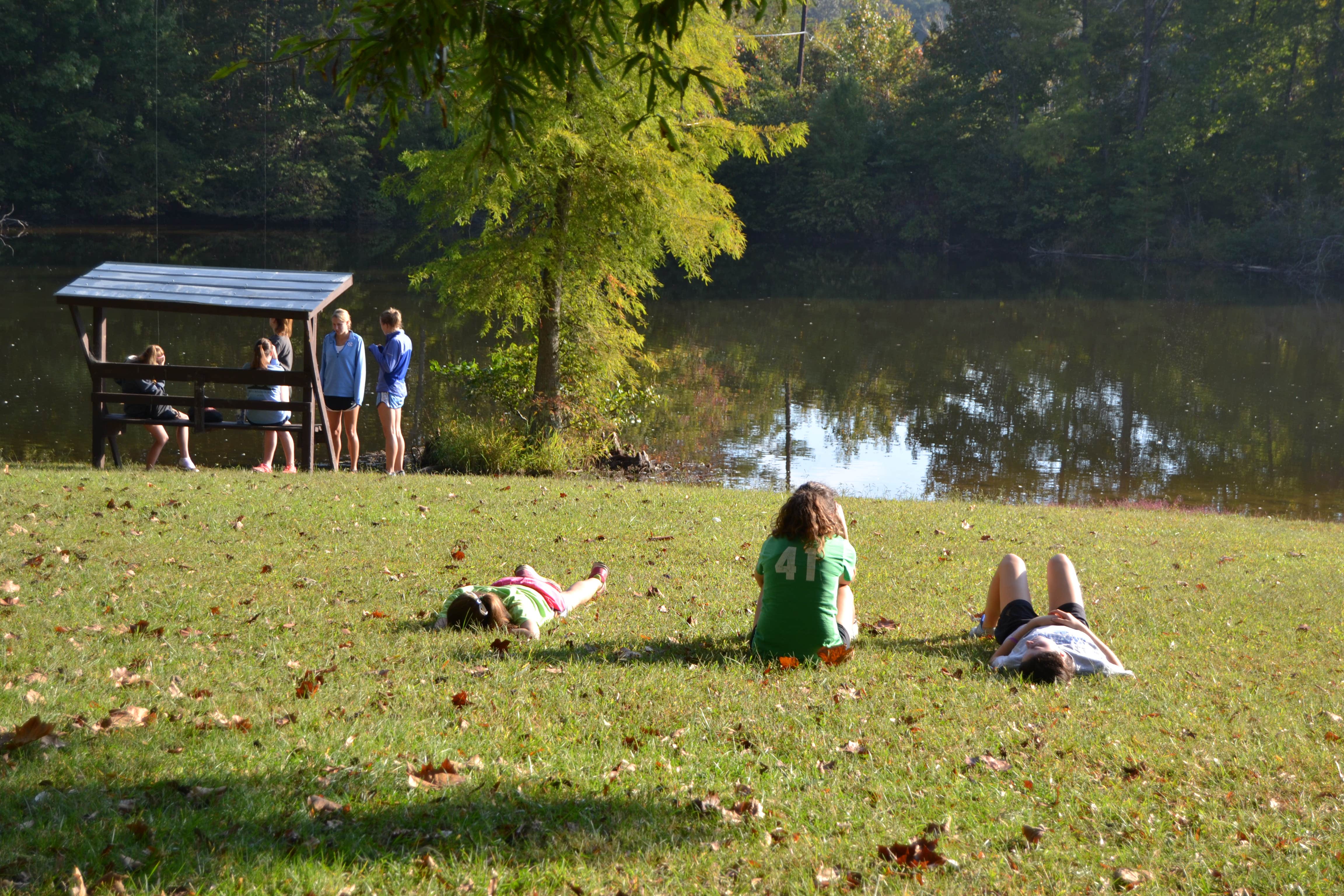 Camper submitted image from Hagan-Stone Park - 2
