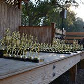 Review photo of Hagan-Stone Park by Sarah M., September 22, 2016