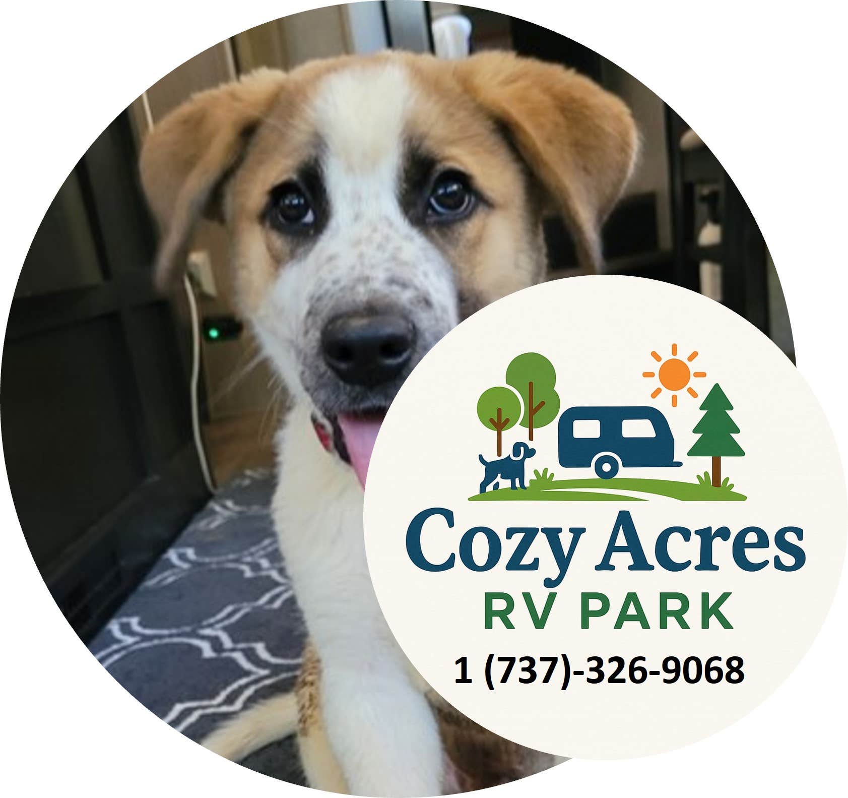 Camper submitted image from Cozy Acres RV Park - 1