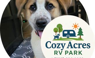 Daniel W.'s photo of camping with pets at Cozy Acres RV Park near Easton, TX