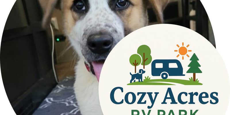 Camper submitted image from Cozy Acres RV Park