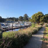 Review photo of Santa Cruz Harbor by Erin S., July 31, 2019