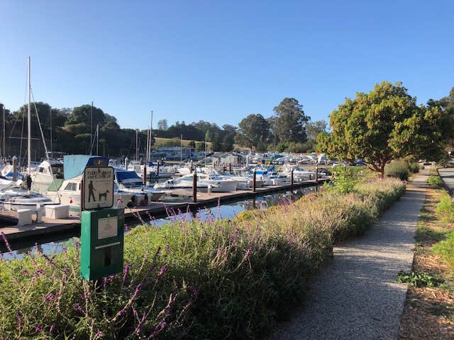 Camper submitted image from Santa Cruz Harbor - 5