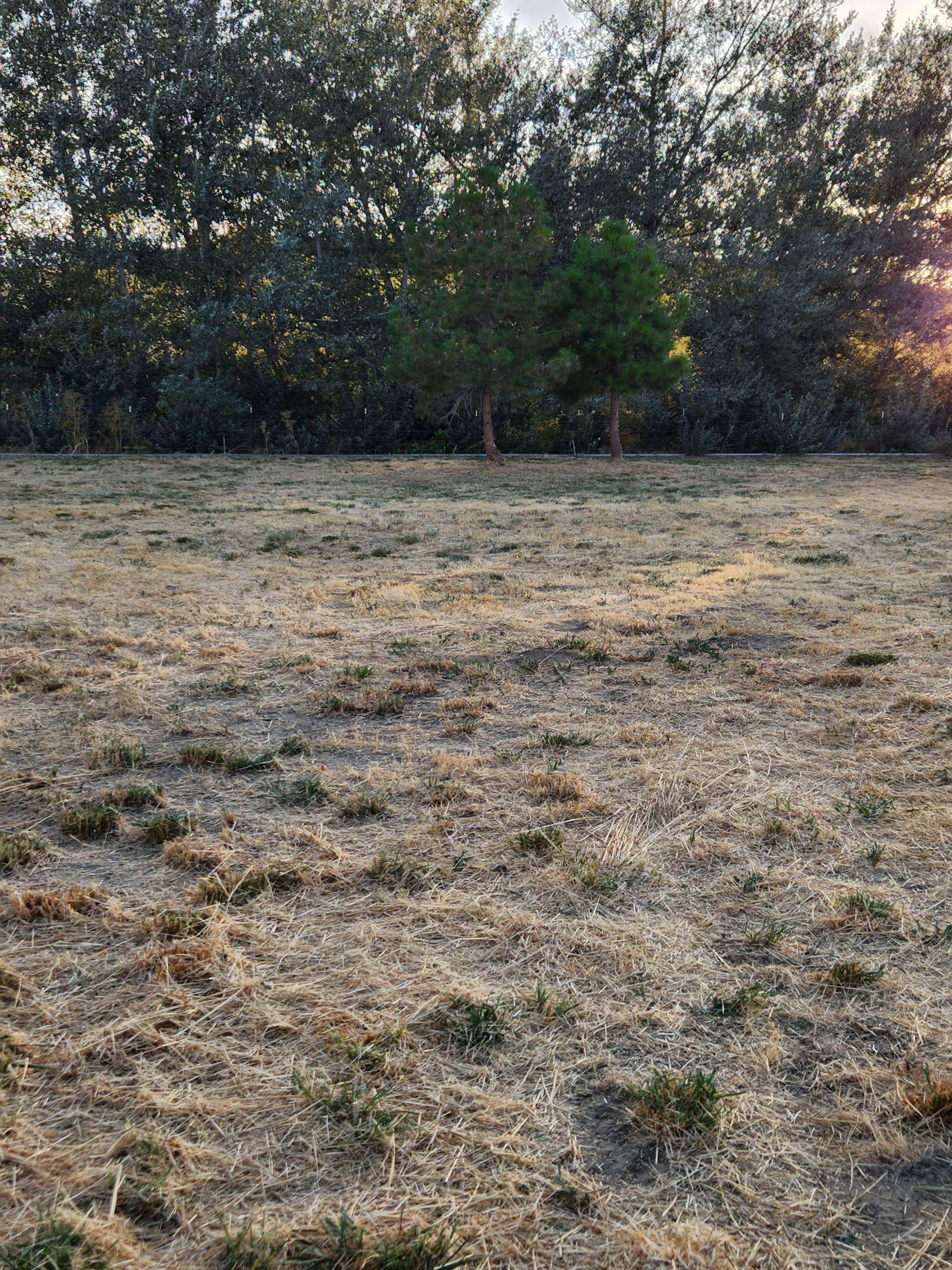 Camper-submitted photo at The Johnson Ranch near Pendleton, OR