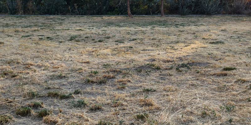 Camper submitted image from The Johnson Ranch