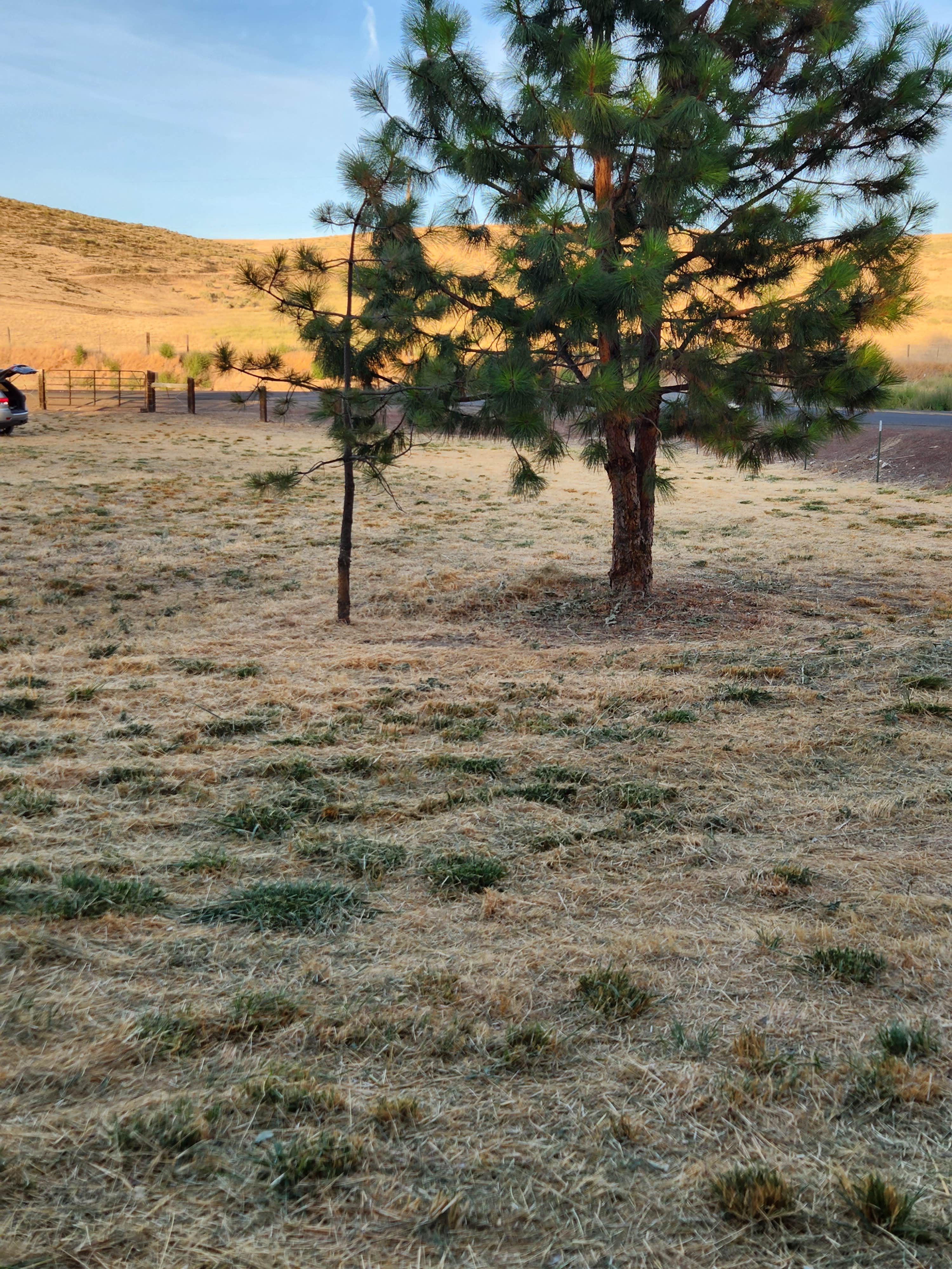 Camper submitted image from The Johnson Ranch - 2