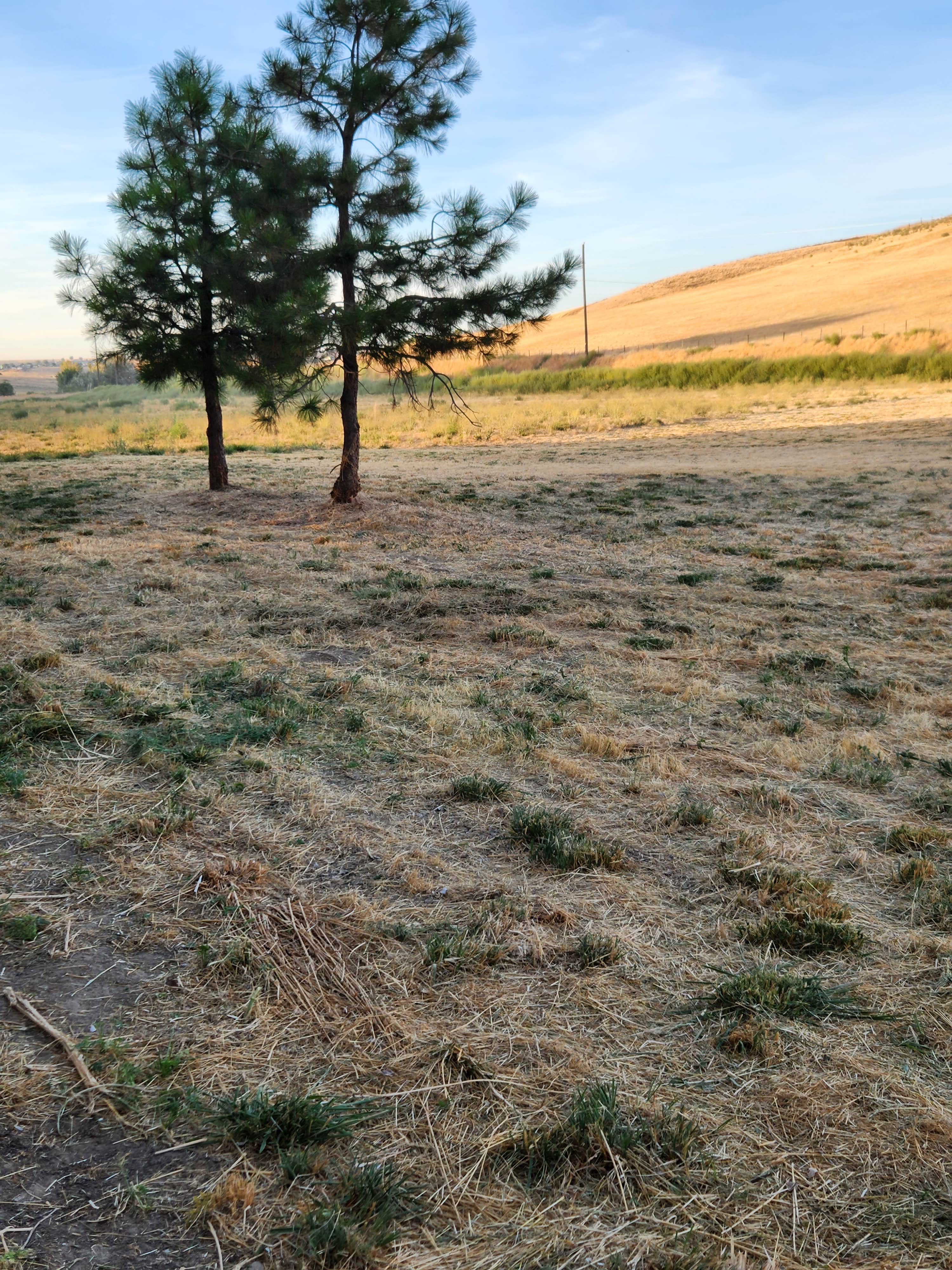 Camper-submitted photo at The Johnson Ranch near Pendleton, OR