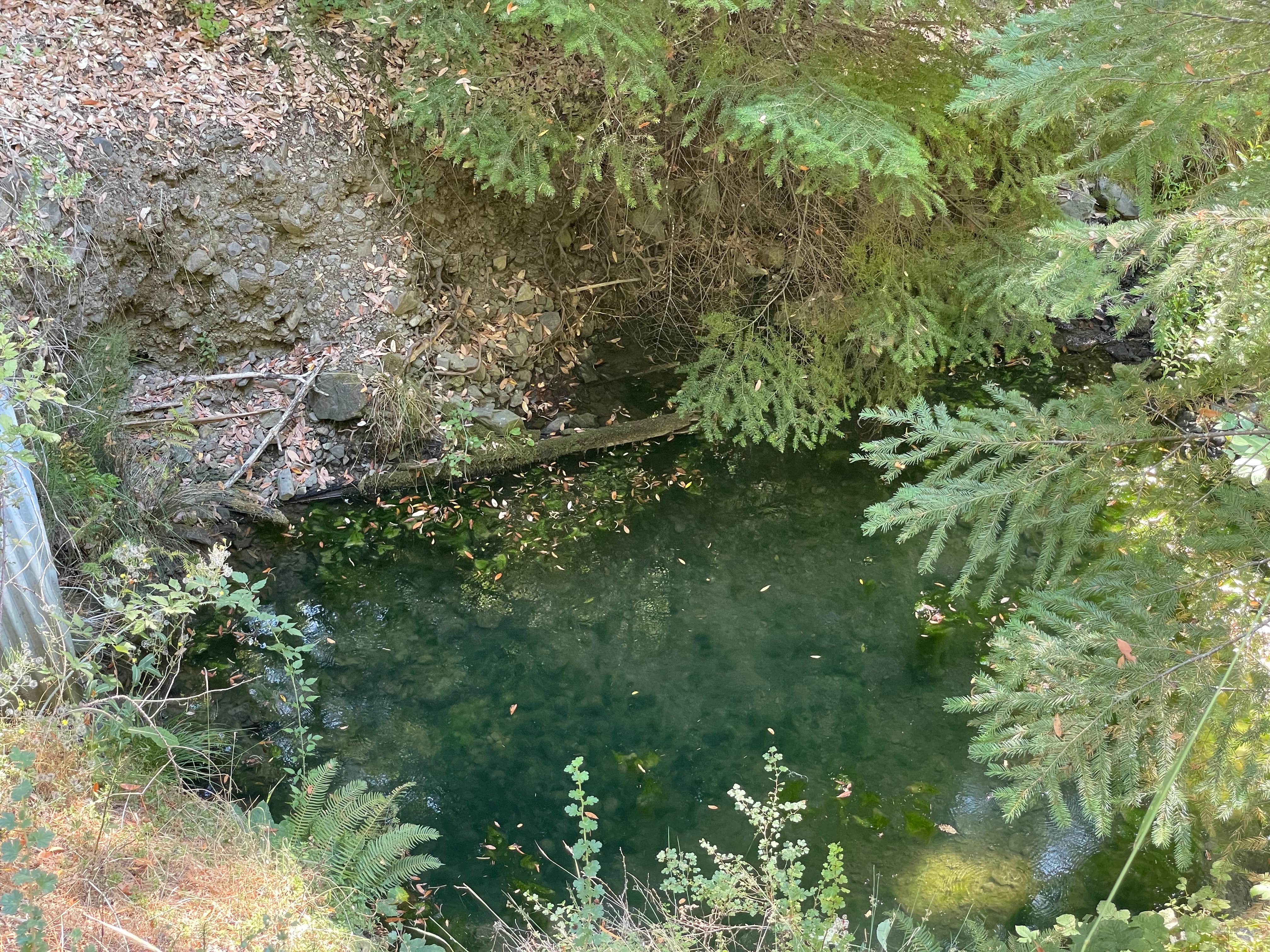Camper submitted image from Long Creek Ranch - 1