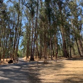 Review photo of Anthony Chabot Regional Park by Laura E., July 31, 2019