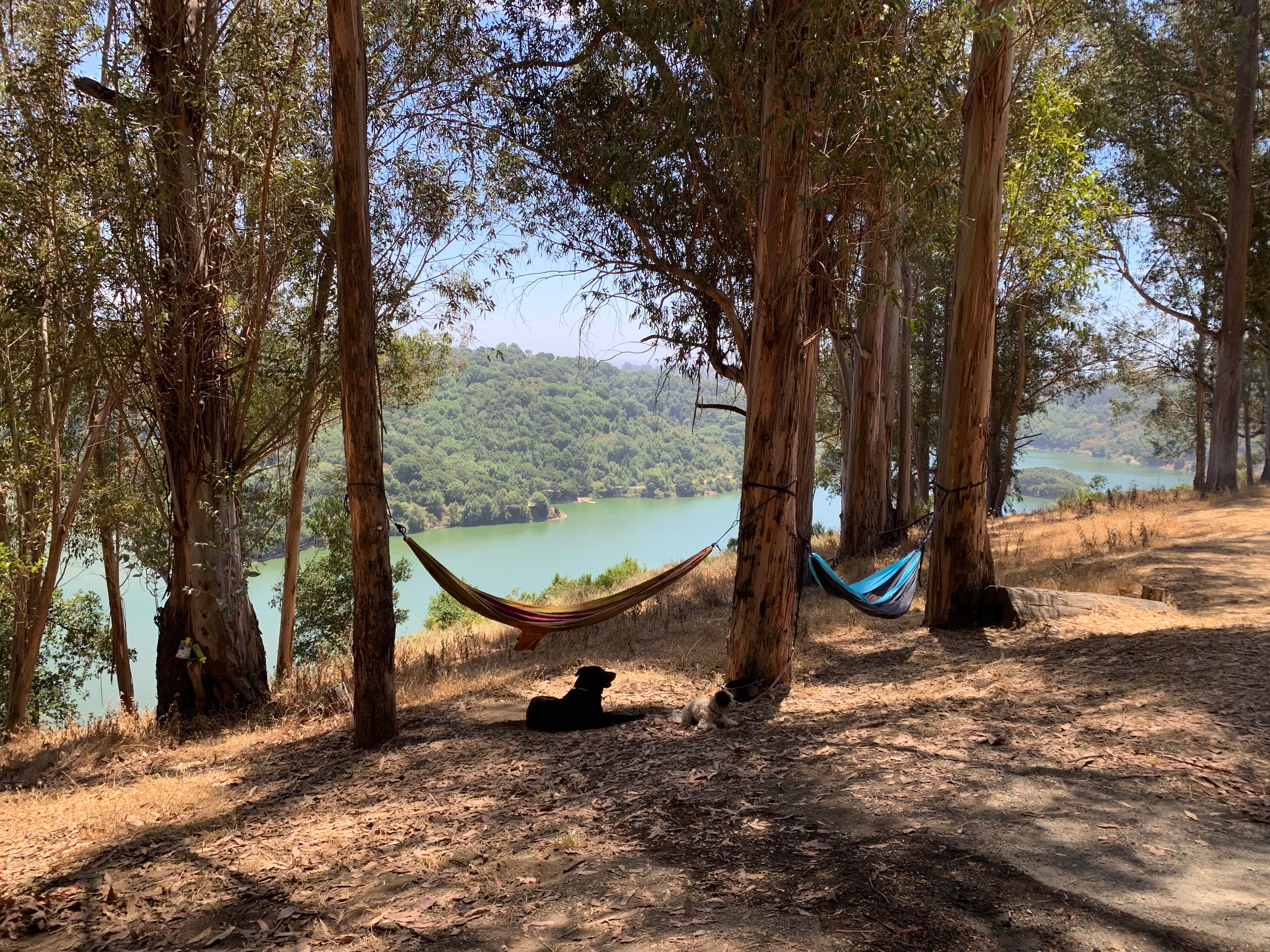 Camper-submitted photo at Anthony Chabot Regional Park near Martinez, CA