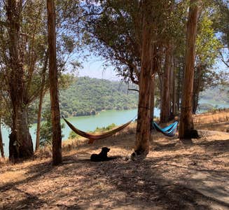 Chabot Regional Park (Chabot Equestrian Center)