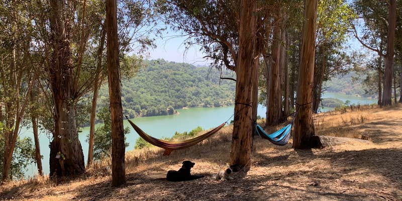 Camper submitted image from Anthony Chabot Regional Park