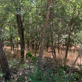 Review photo of McKinney Falls State Park Campground by Eric T., July 31, 2019